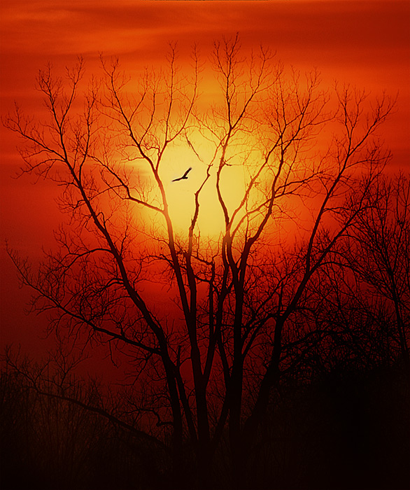 фото "Into the Sunset" метки: пейзаж, закат