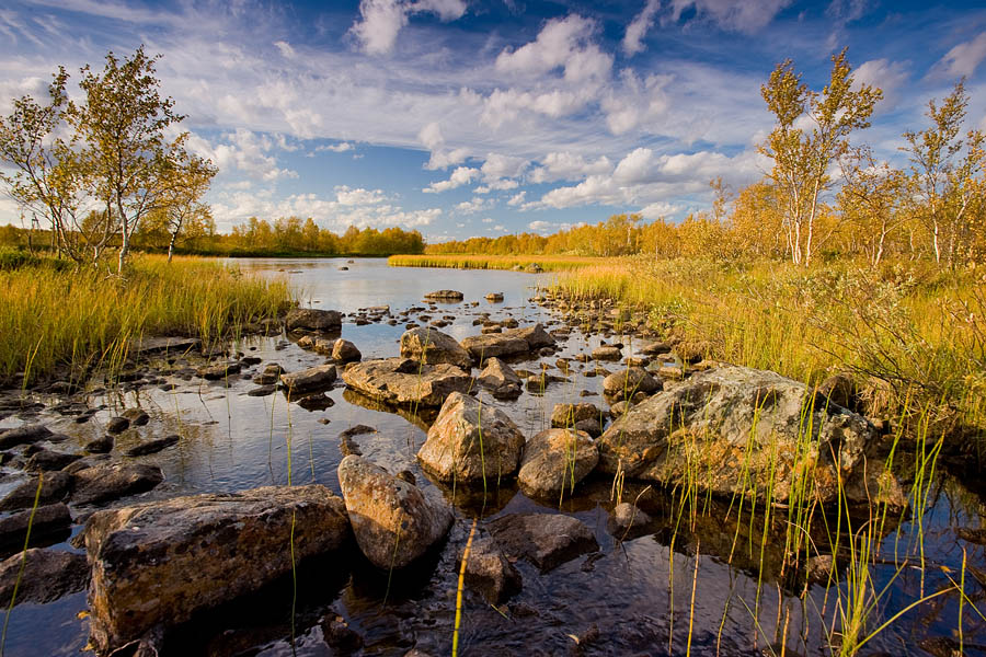 фото "Осень" метки: пейзаж, осень