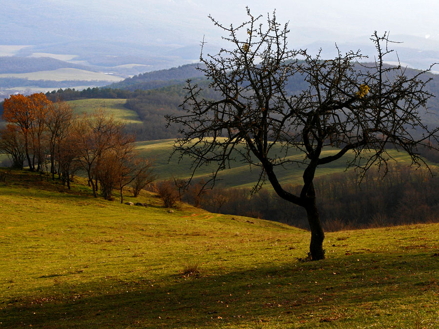 фото "вечер" метки: пейзаж, весна