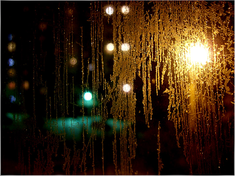 photo "Winter Window" tags: misc., 