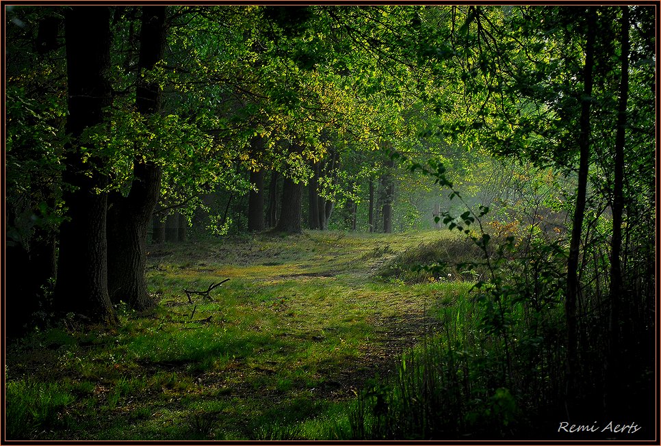 фото "***" метки: пейзаж, закат