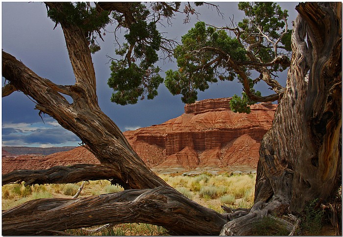 photo "Red Hills Of Utah" tags: landscape, travel, North America, mountains