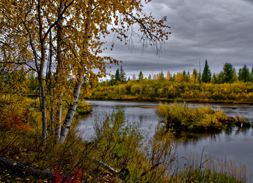 photo "***" tags: landscape, autumn, forest