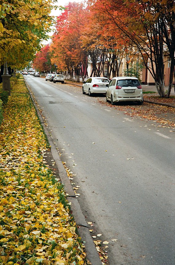 фото "Уличная осень" метки: город, 