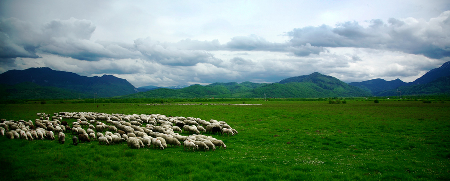 photo "The Carpathians" tags: landscape, mountains