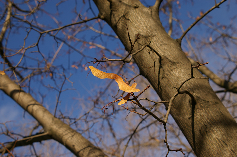 photo "***" tags: nature, landscape, autumn