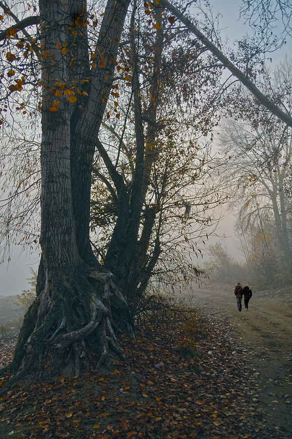 photo "***" tags: landscape, autumn