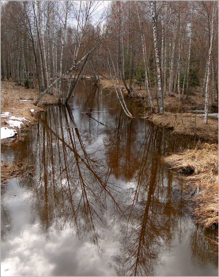 фото "Вешние воды" метки: , 