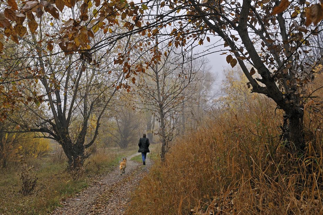 photo "Man dog friend ..." tags: landscape, autumn, forest