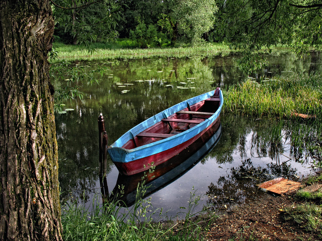 photo "***" tags: landscape, summer