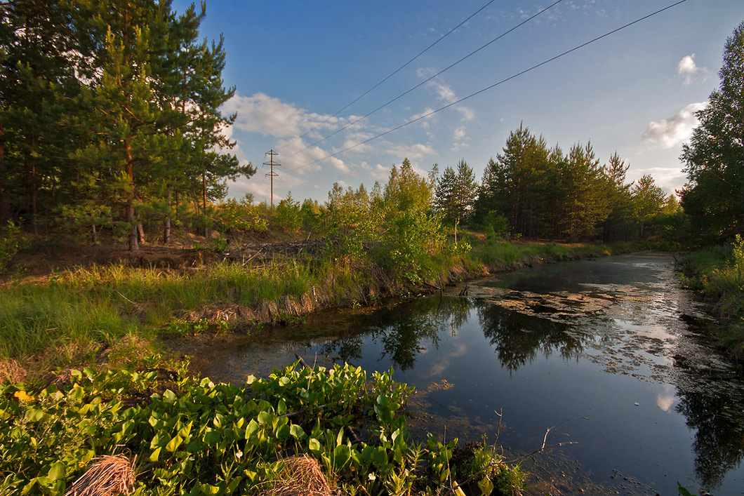 photo "Backwater." tags: landscape, summer, water