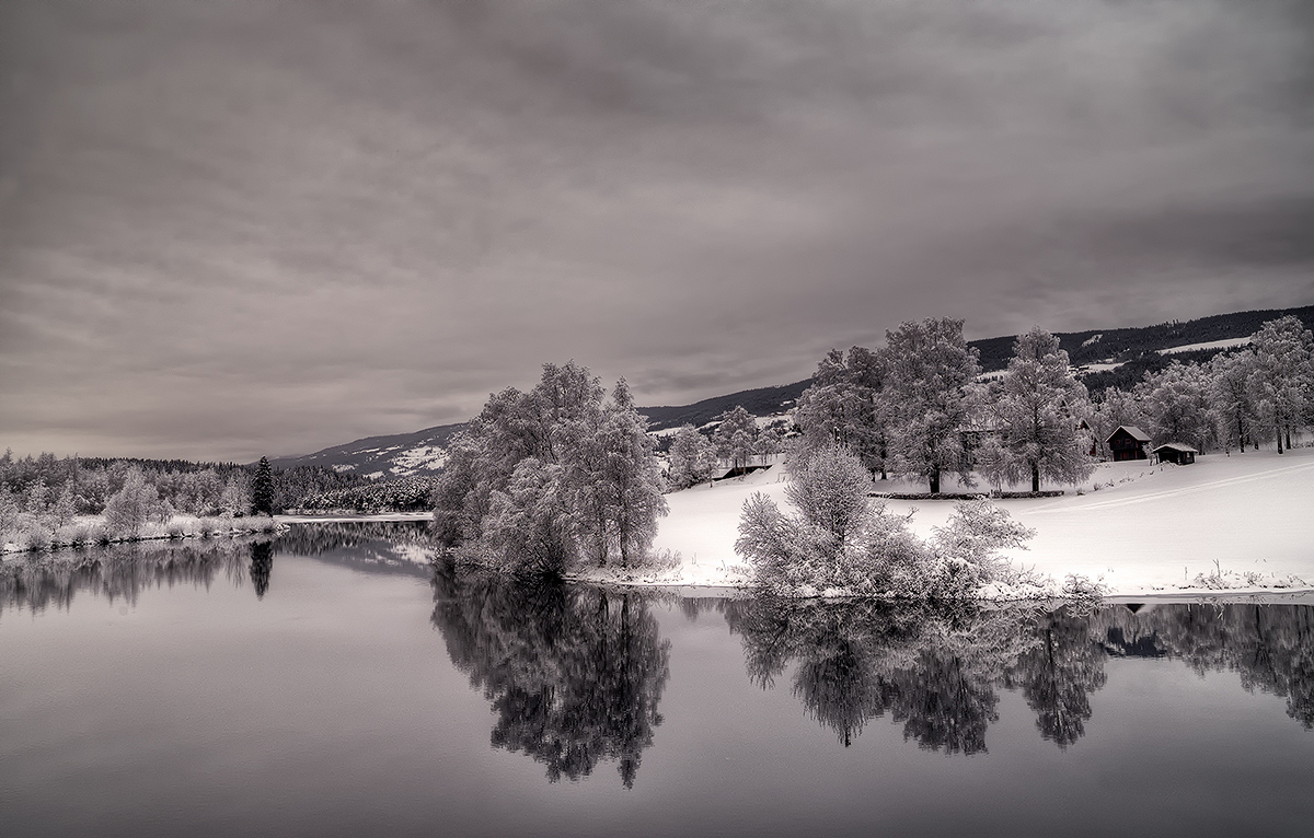 photo "Black and White" tags: black&white, landscape, winter