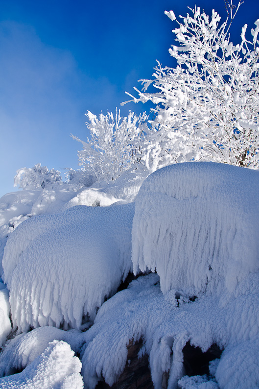 photo "***" tags: landscape, winter