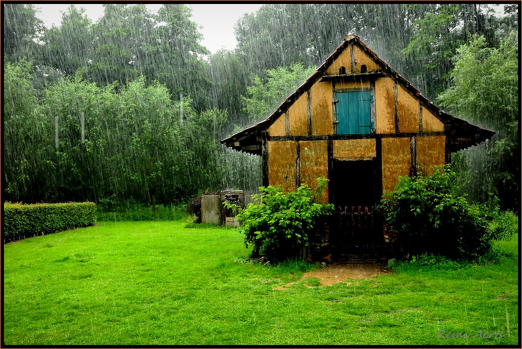 фото "a rainy day" метки: пейзаж, репортаж, лето