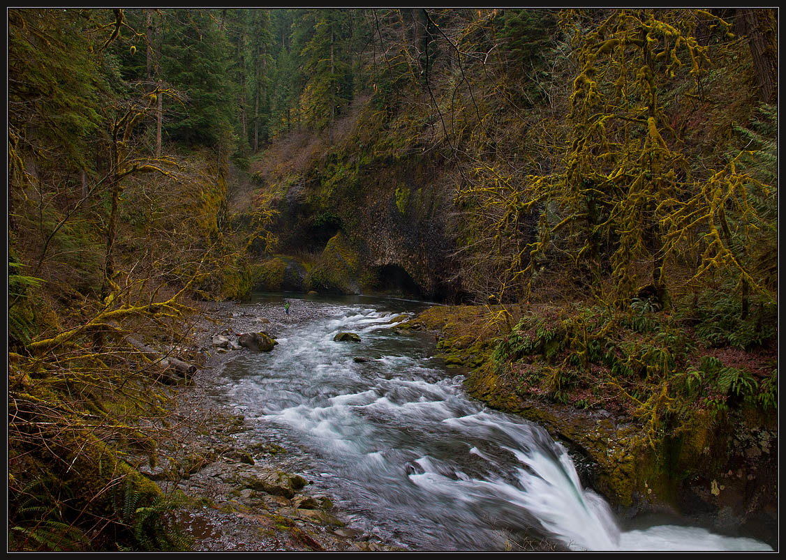 photo "Mountain river and small waterfall" tags: landscape, forest, water