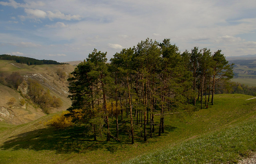 photo "***" tags: landscape, mountains, spring