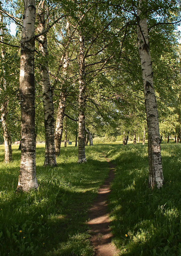 фото "***" метки: пейзаж, город, весна