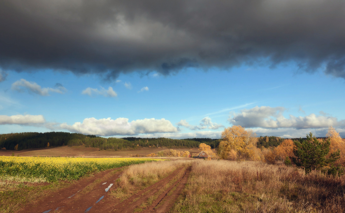 photo "***" tags: landscape, Поле колея лужи цветы лес обла