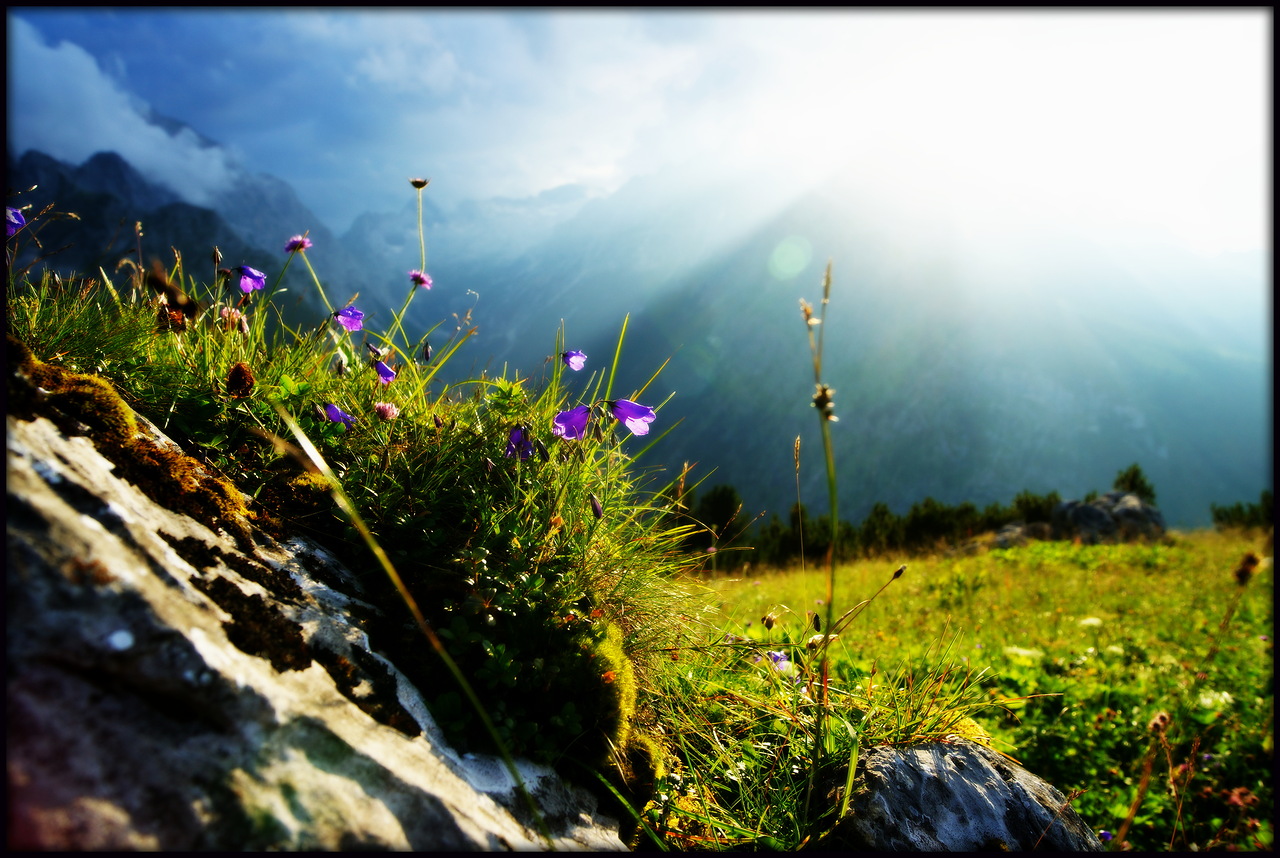 photo "***" tags: landscape, travel, nature, flowers, mountains, summer, Бавария