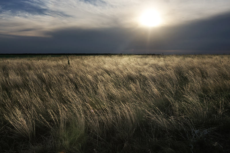 photo "Time of Troubles" tags: landscape, field, field