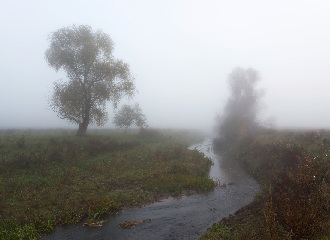 photo "***" tags: landscape, autumn, fog, grass, tree, Речка