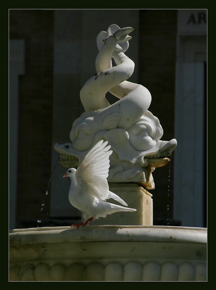 photo "Fragment with the pigeon" tags: nature, architecture, city, 