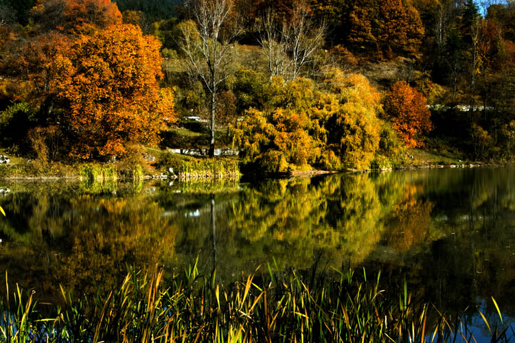 photo "Autumn i" tags: landscape, genre, misc., 