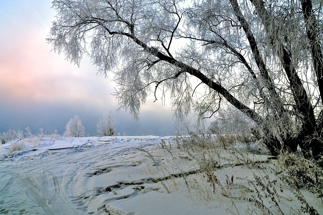 фото "***" метки: пейзаж, природа, закат, зима, лес