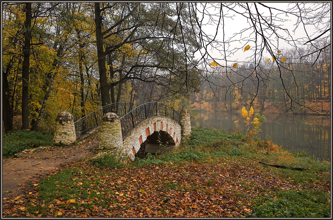 Фото Парка Кузьминки