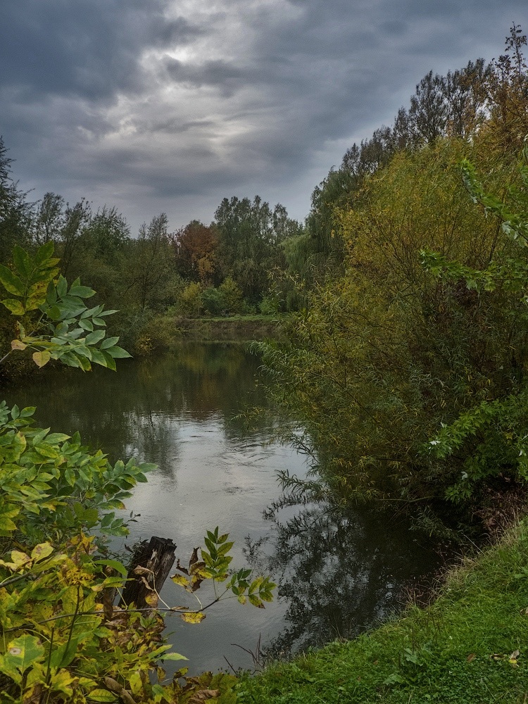фото "Вот и осень..." метки: пейзаж, природа, листья, небо, река, тучи