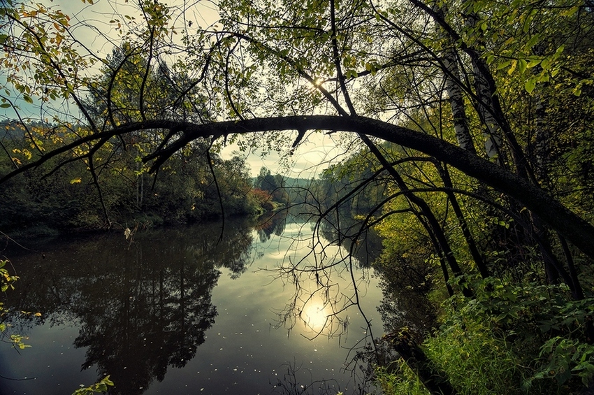фото "река Тагил" метки: пейзаж, путешествия, природа, Нижний Тагил, вода, лес, облака, осень