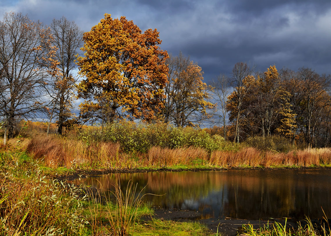 photo "***" tags: landscape, autumn, clouds, sky, water, деревья