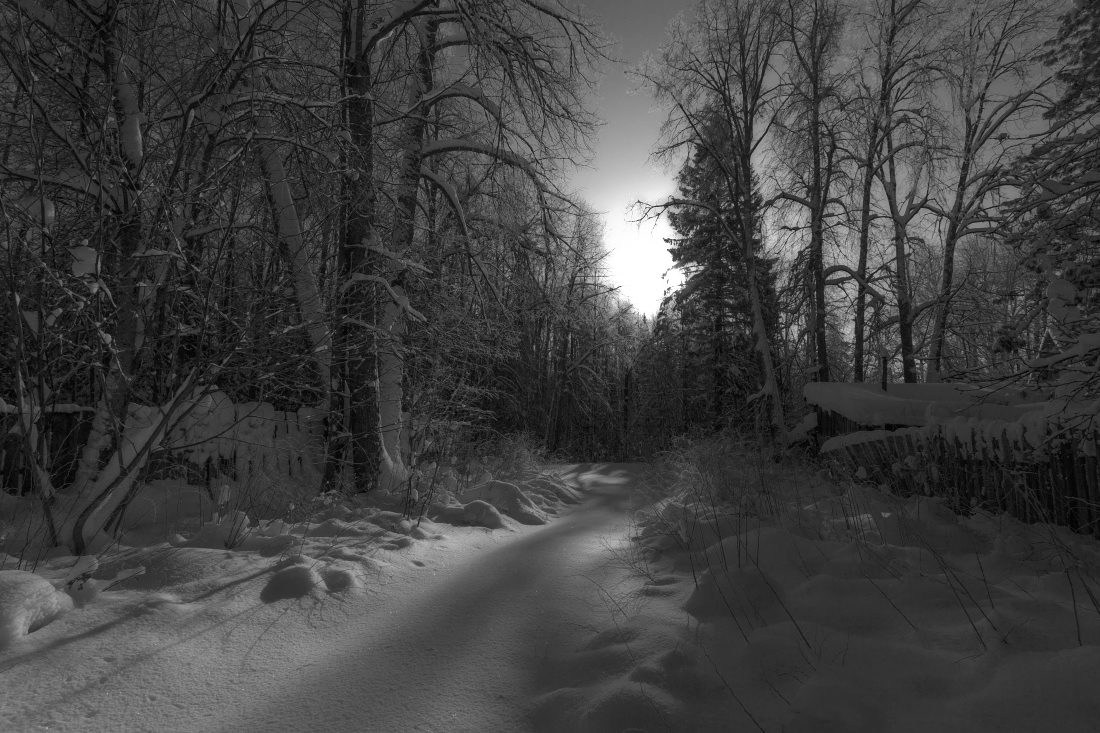 photo "***" tags: landscape, black&white, forest, light, snow, sun, winter, деревья, избушка, тени