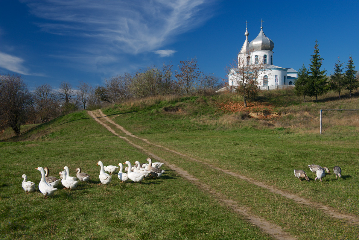 Осень и храмы на селе
