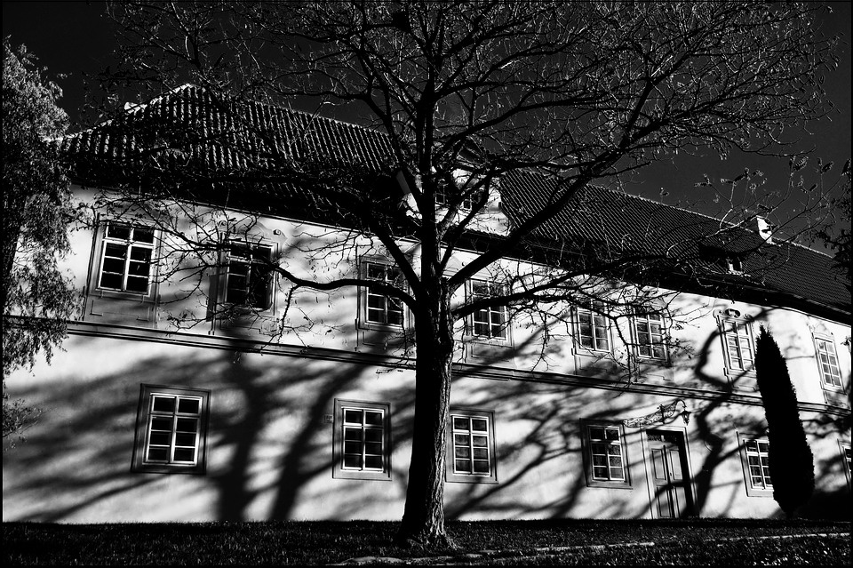 photo "Дерево и дом" tags: black&white, Prag, Prague, Praha