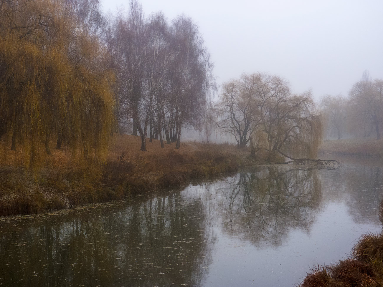 Фотография вчера. Владимир Панасюк Taabu. Туман и сырость. Влажный туман. От воды туман и сырость.