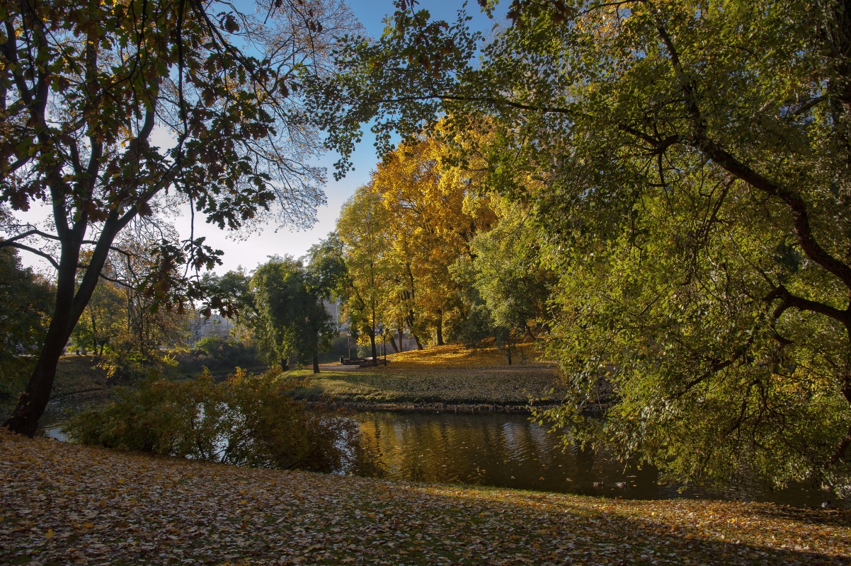 photo "City canal" tags: landscape, 