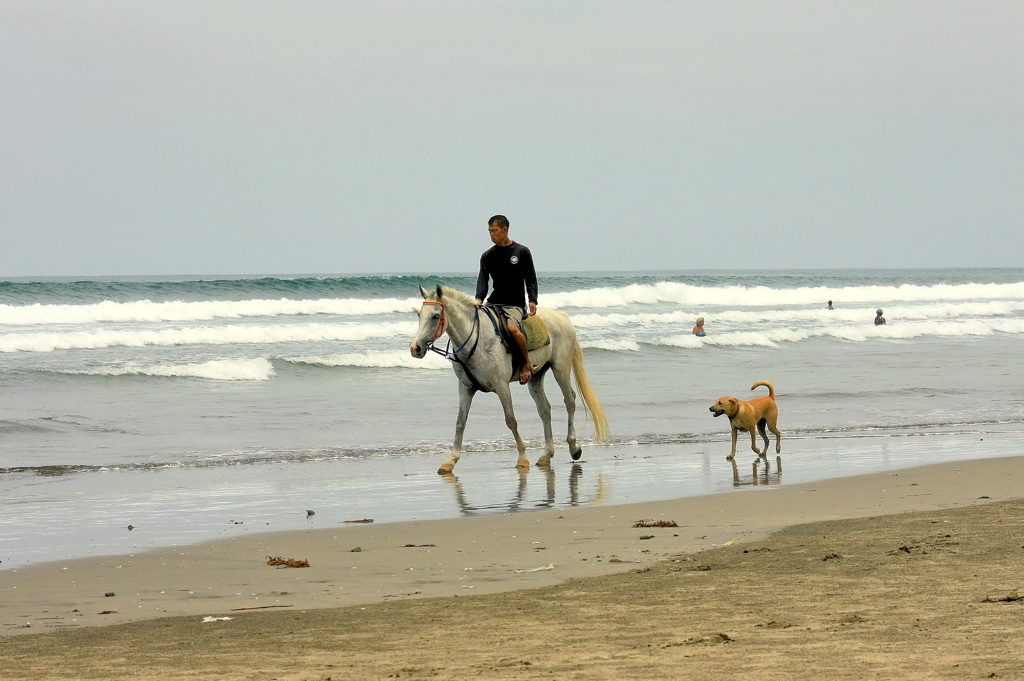 photo "***" tags: travel, genre, nature, Asia, man, ocean, pets/farm animals, water