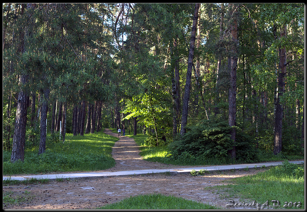 photo "In woods outside Moscow ..." tags: landscape, nature, travel, Europe, forest, people, road, spring