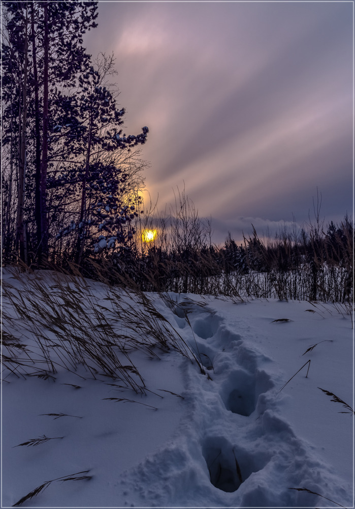 photo "***" tags: landscape, sunrise, winter