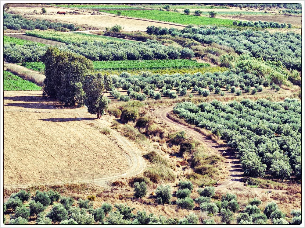 photo "Messara Plain. Crete." tags: travel, landscape, Crete, Messara Plain