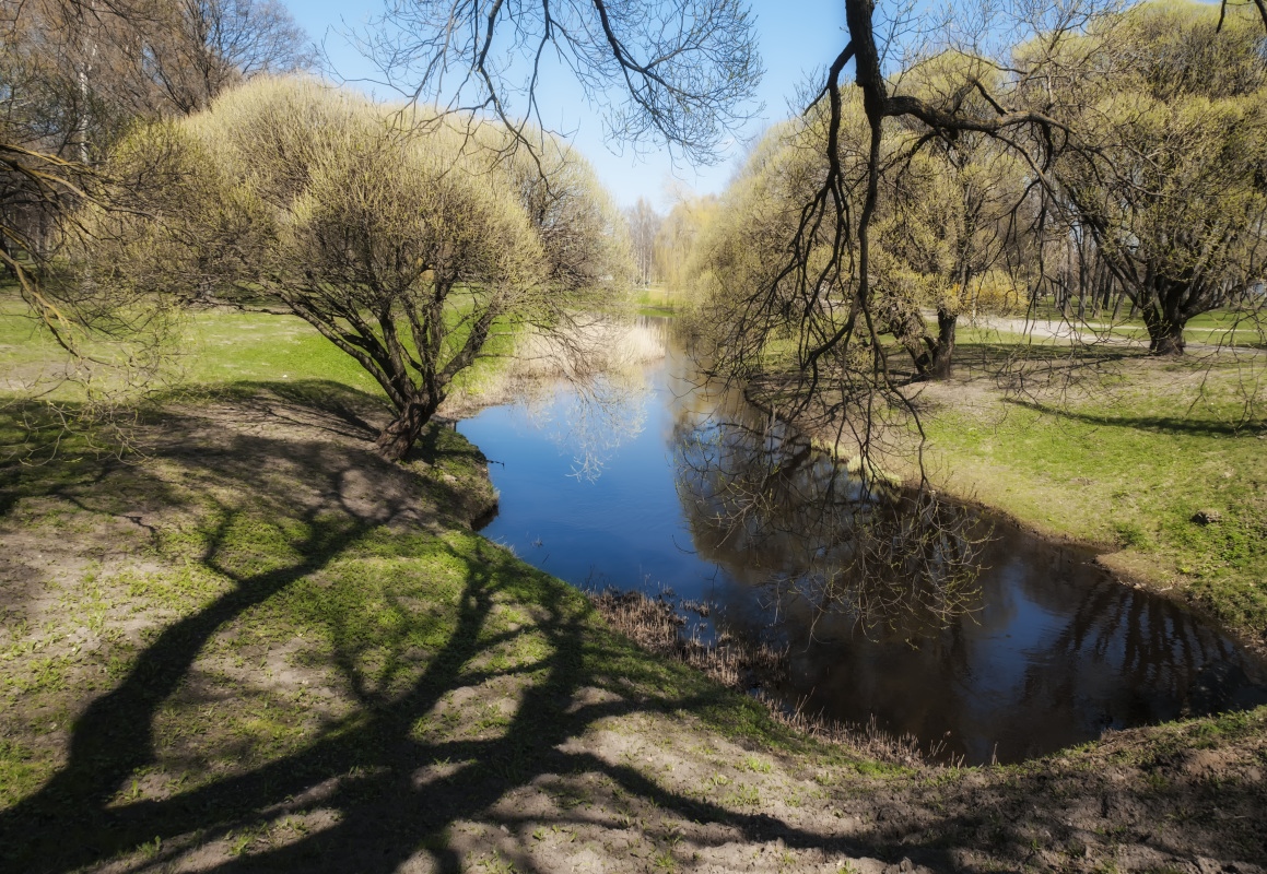 photo "Spring has come" tags: landscape, nature, 