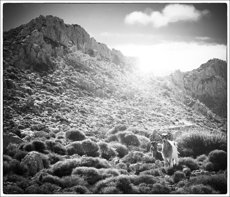 photo "***" tags: landscape, travel, black&white, Crete