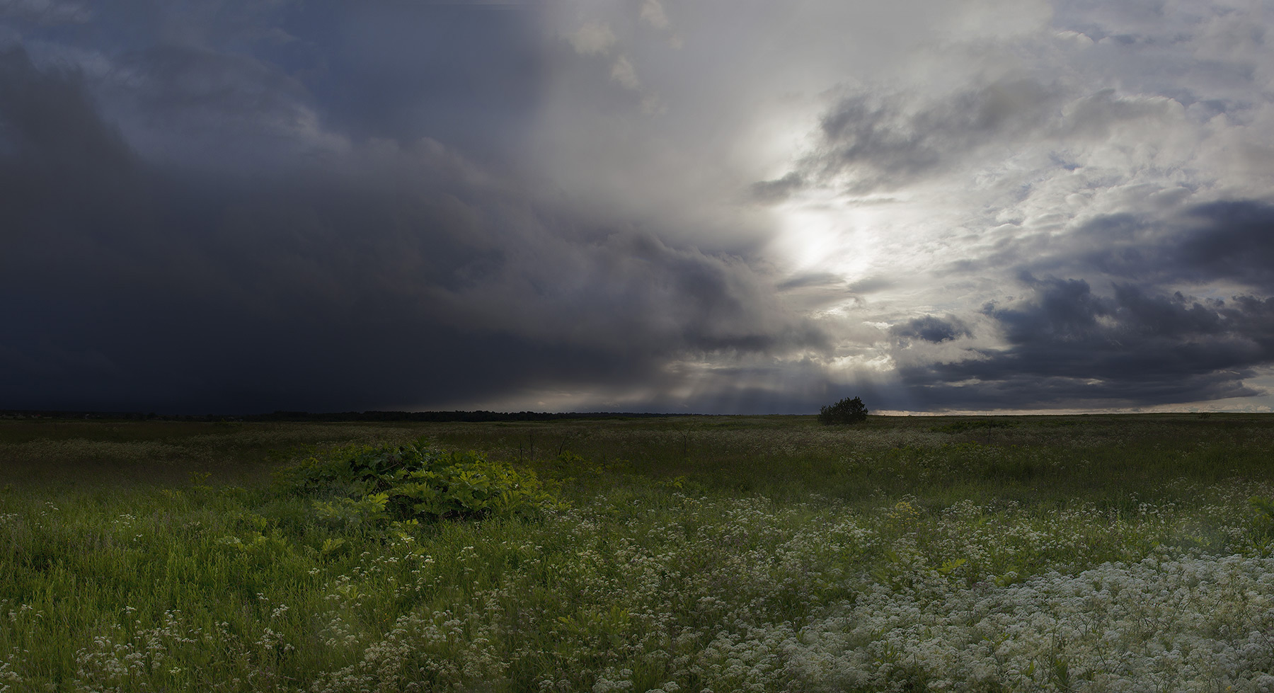 photo "***" tags: landscape, nature, panoramic, field, sky, summer, гроза, пасмурно