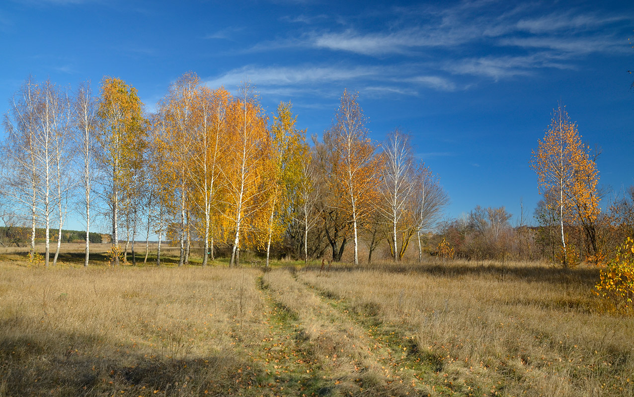 photo "***" tags: landscape, nature, 