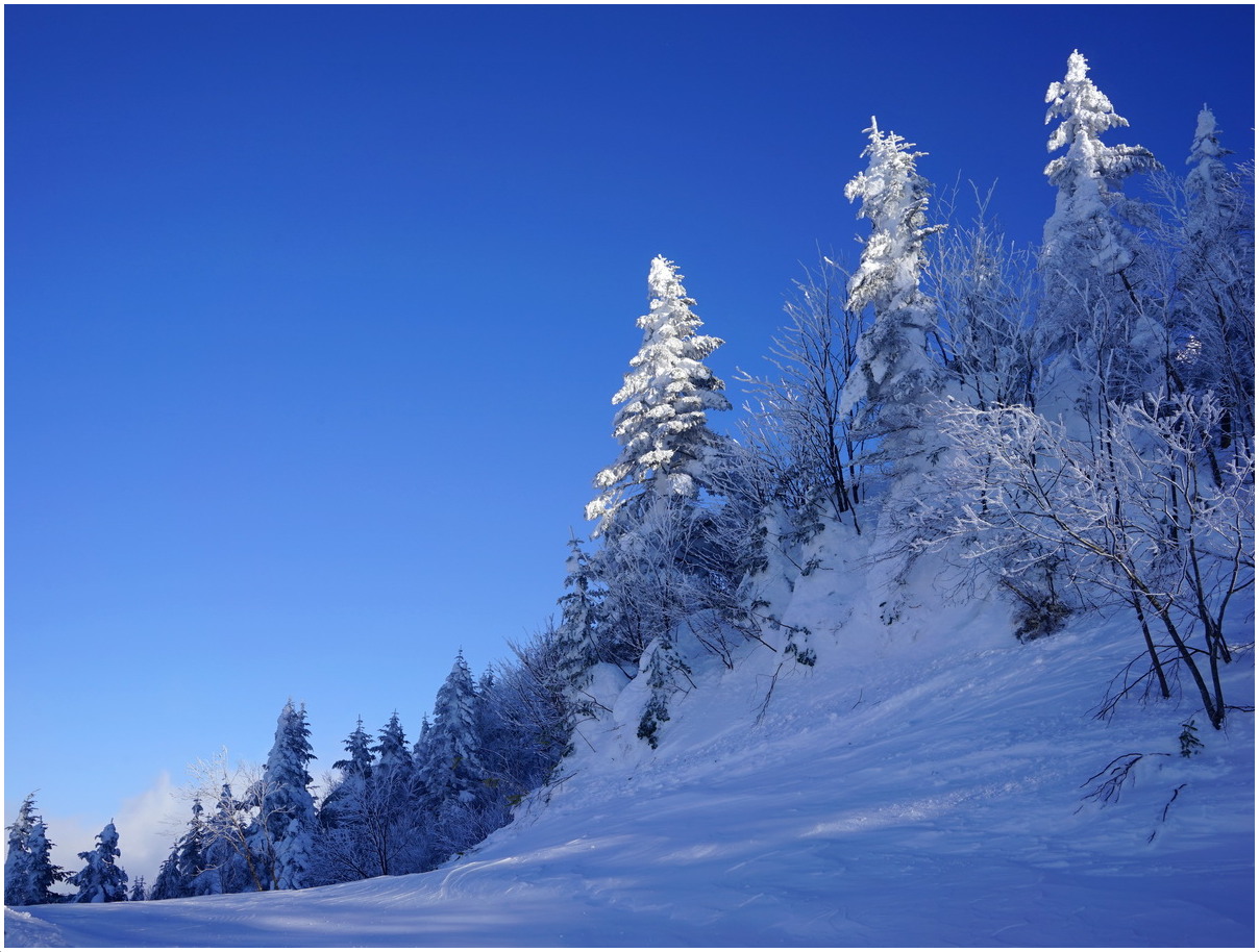 photo "***" tags: landscape, Asia, forest, mountains, sunset, winter