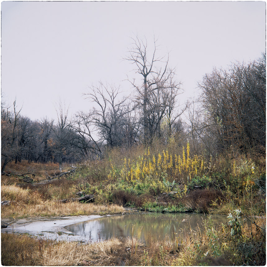 photo "***" tags: landscape, nature, 120, 6x6, FUJICHROME Provia 100 F, TLR, Yashica Mat Em