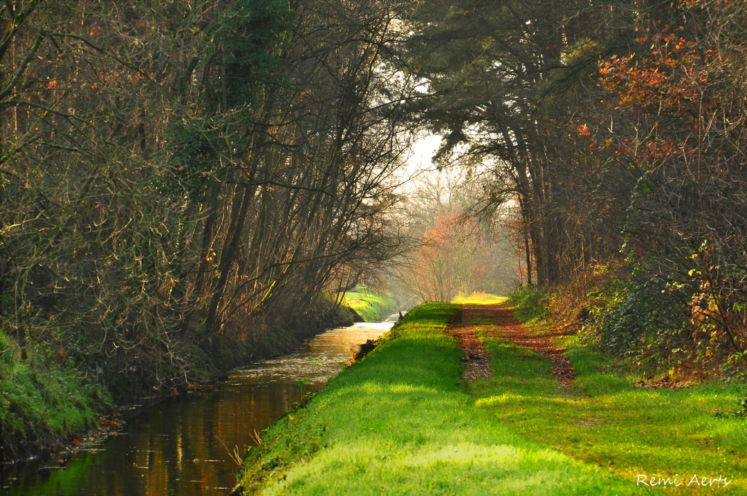 photo "***" tags: landscape, nature, street, 