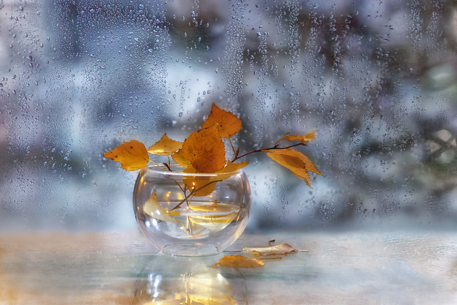 photo "***" tags: still life, macro and close-up, 