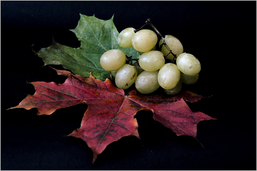 photo "***" tags: still life, 